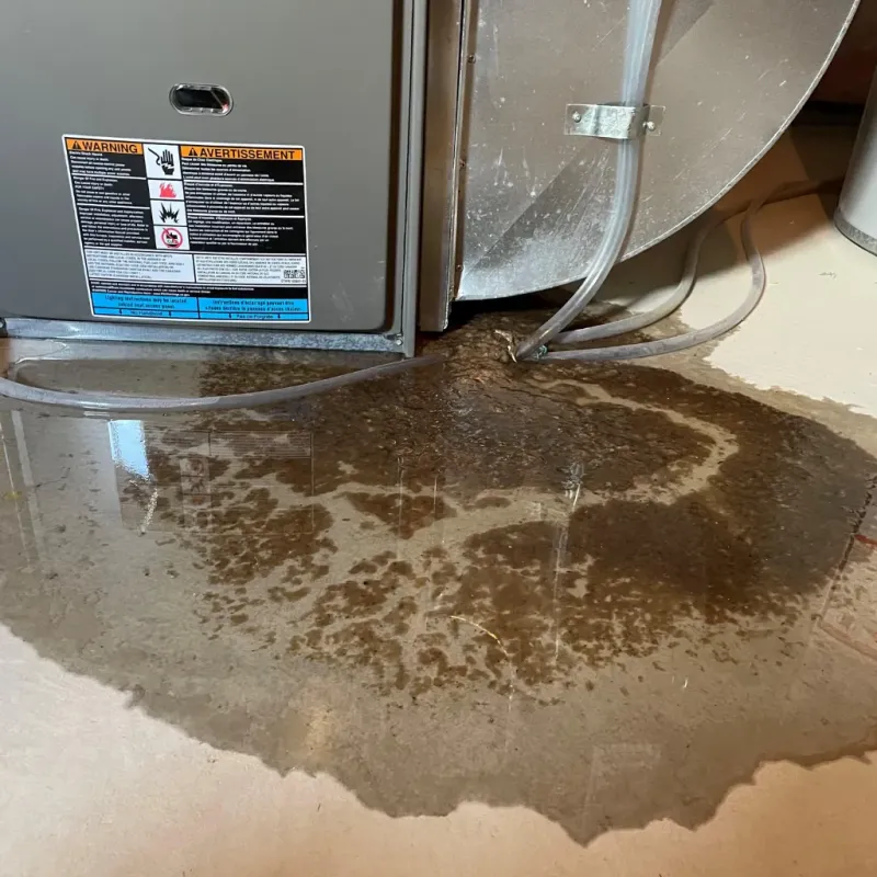 Appliance Leak Cleanup in Marbury, AL